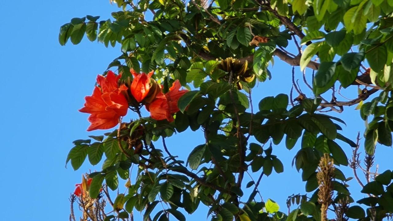 Finca Dona Maria Benalmádena Esterno foto